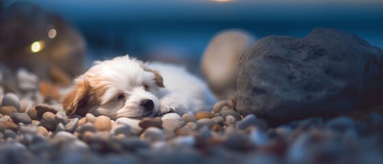 Adorable friendly puppy dog peacefully sleeping under the stars outside on the pebble beach shore, quiet night of relaxing dreams and rest, closeup portrait bokeh blur - generative ai