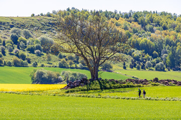 Poster - Rural landscape view with people walking at a beautiful summer day