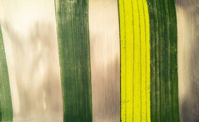 Wall Mural - Colorful Farmland and Scenic Countryside. Aerial Drone view