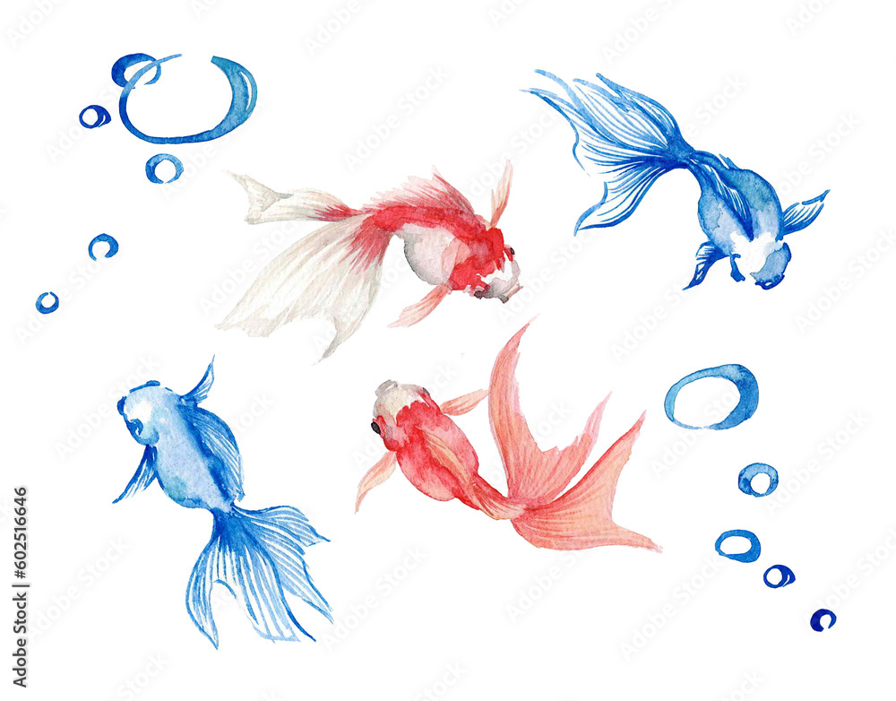 金魚の水彩イラスト Stock Illustration | Adobe Stock