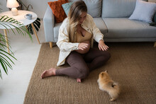 Pregnant Woman Playing With Puppy Sitting On Rug At Home