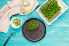 Flatlay With Microgreens In A White Wooden Box, Cut Sprouts On A Plate And Vintage Scissors. Top View On Blue Wooden Background.
