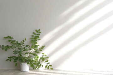 Wall Mural - Minimal abstract background for product presentation. Shadow of plant leaves and curtains, white wall and green plant. made with Generative AI