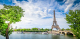 Fototapeta Boho - eiffel tour and Paris cityscape