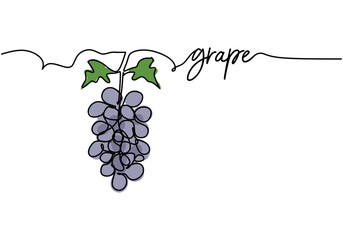 Canvas Print - Grapes continuous one line drawing, fruit vector illustration.