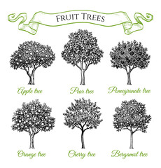 Wall Mural - fruit trees set.