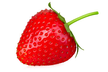 Sticker - One red ripe strawberry with a green tail. Isolated on white background.