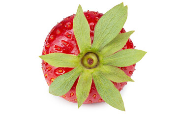 Canvas Print - One red ripe strawberry with a green tail. Isolated on white background.