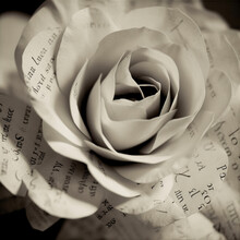 Roses Made Out Of Poems, Poetry Paper Art - By Generative Ai