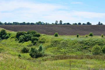 Wall Mural - A green hill with a field in the background and blue sky, copy space