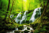 Fototapeta Las - Waterfall cascades in a green forest 