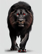 Black Lion isolated in white background, Generative Ai	