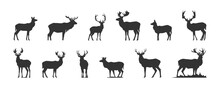 Set Of Black Deer Silhouettes Isolated On White Background, Vector Illustration