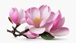 Pink magnolia on transparent background, generative ai