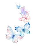 Fototapeta  - Butterflies Watercolor wreath isolated on white background.  Excellent for wedding design, stationery, invitations, postcards.