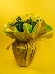 Wall Mural - Bouquet of yellow daisies on a yellow background. Yellow flowers.