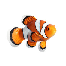 Clown Fish Or Realistic Nemo Isolated On White Transparent Background PNG