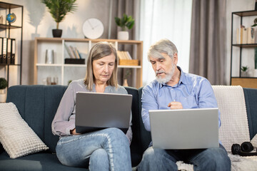 Wall Mural - Serious mature people in casual clothes using laptops while spending time in cozy environment at home. Elderly family man and wife reading online article on digital screen while sitting on couch.