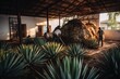 A shot of a tequila distillery in Mexico, with workers tending to the agave plants and stills, emphasizing the traditional and artisanal nature of the product. Generative AI