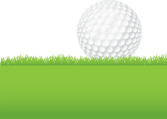 Sticker - Golf Ball Sitting on a Grass Background Illustration