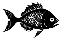 Illustration Of A Fish