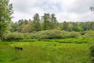 landscape