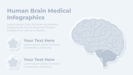 Medical health care and human brain infographic presentation template