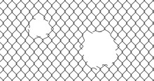 Broken Wire Mesh Fence. Rabitz Or Chain Link Fence With Cut Hole. Torn Wire Pirson Mesh Texture. Cut Metal Lattice Grid. Vector Illustration Isolated On White Background.