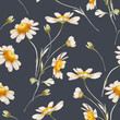 Seamless pattern with delicate daisies on a black background