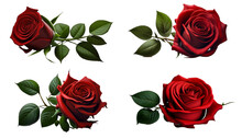  Red Rose On White Background For The Day Of Love And Valentine's Day WHITE BACKGROUND. Generative AI.