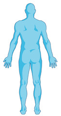 Male body shapes, human body outline, posterior view, full body 