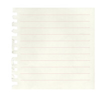 Blank Torn Note Paper