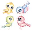Cute set colorful birds, hand drawn watercolor animal cartoon illustrations