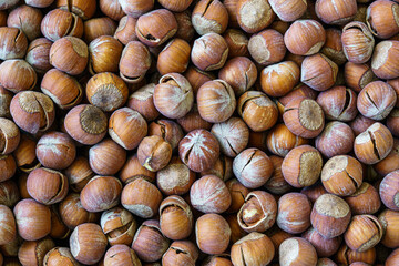 Wall Mural - The texture of a heap of hazelnuts in the shell. Background of healthy plant vegan food. Nuts.