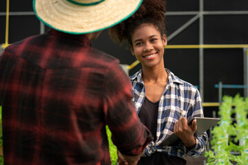 Two african american shaking hands after work successful about examine quality of salad hydroponics