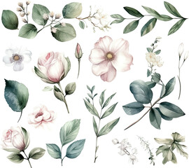 Wall Mural - Set of watercolor flowers leaves and twigs on a white background.ai generated
