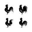 © hafid - set of rooster icon silhouette illustration vector, flat rooster symbol collection