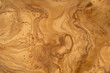 Olive Wood Texture Background, Solid Wooden Burr or Burl Pattern, Burled Wood Wallpaper with Copy Space