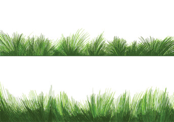 Sticker - beautiful green grass isolated background