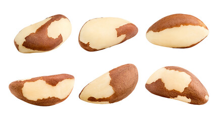 Wall Mural - brazil nut, isolated on white background, full depth of field