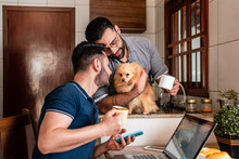 Happy Gay Couple Looking At Dog And Petting It At Table