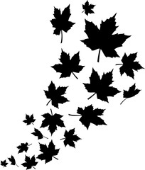 Wall Mural - swirl of falling maple leaves png illustration