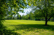 © p  a  t  r  i  c  k - Golf course located in Bazantarnia Park in Siemianowice, Silesia, Poland. Perfectly cutted lawn surrounded by green, fresh trees. Sunny, spring day in Central Europe. Golf as an outdoor activity.