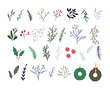 © lumionary - Set of cute hand drawn winter botany elements, flat vector illustration isolated on white background. Various branches, flowers, berries and wreaths. Floral Christmas decoration collection.