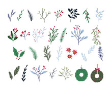 Set Of Cute Hand Drawn Winter Botany Elements, Flat Vector Illustration Isolated On White Background. Various Branches, Flowers, Berries And Wreaths. Floral Christmas Decoration Collection.