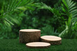 Wood tabletop podium floor in outdoors blur green tropical leaf tropical forest nature landscape background.cosmetic natural product mock up placement pedestal stand display,jungle summer concept.
