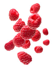 Falling Raspberry Isolated On Transparent Background
