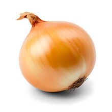  Fresh Onion Bulb Isolated On Transparent White Background