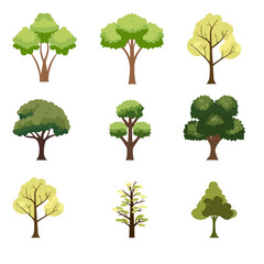 Wall Mural - Flat trees in a flat design. Isolated on white background. Vector icons