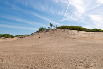 Poster - Landscape at Warren Dunes.